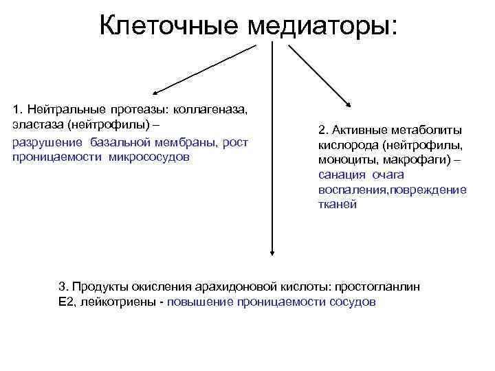 Медиаторы воспаления вызывают схема