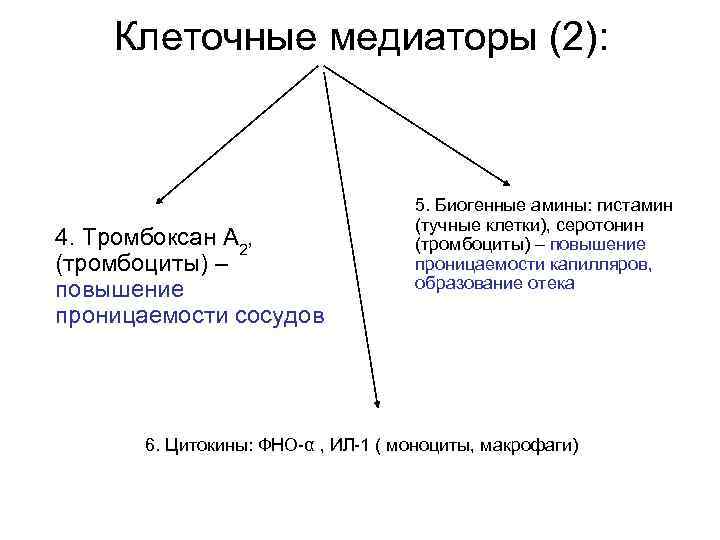 Клеточные медиаторы (2): 4. Тромбоксан А 2, (тромбоциты) – повышение проницаемости сосудов 5. Биогенные