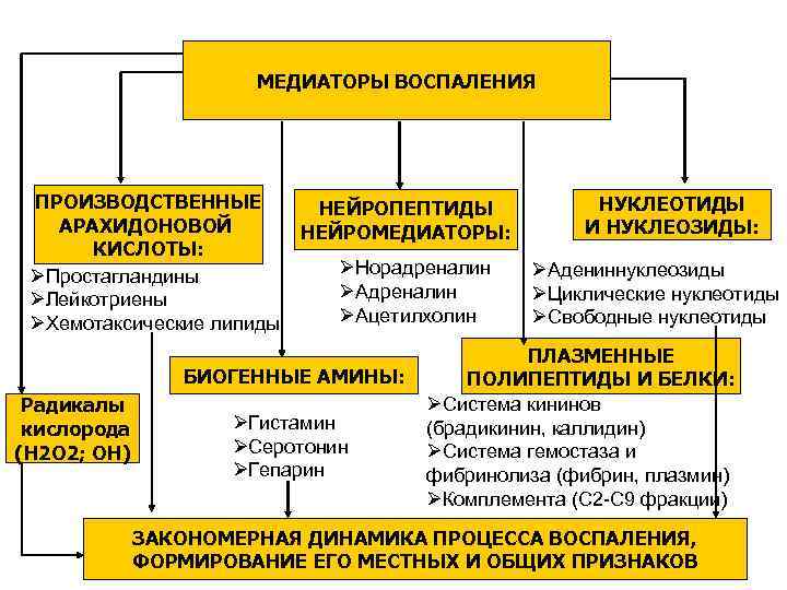 Медиаторы воспаления вызывают схема