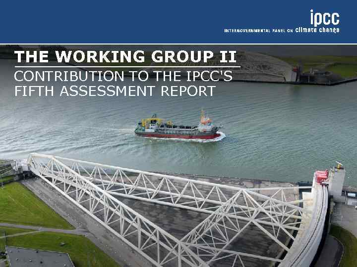 THE WORKING GROUP II CONTRIBUTION TO THE IPCC'S FIFTH ASSESSMENT REPORT 