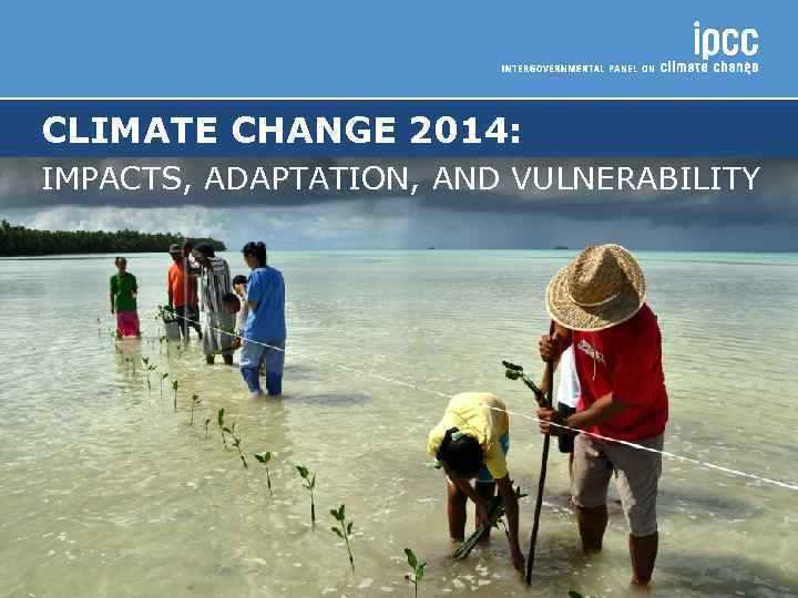 CLIMATE CHANGE 2014: IMPACTS, ADAPTATION, AND VULNERABILITY 