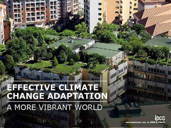 EFFECTIVE CLIMATE CHANGE ADAPTATION A MORE VIBRANT WORLD 