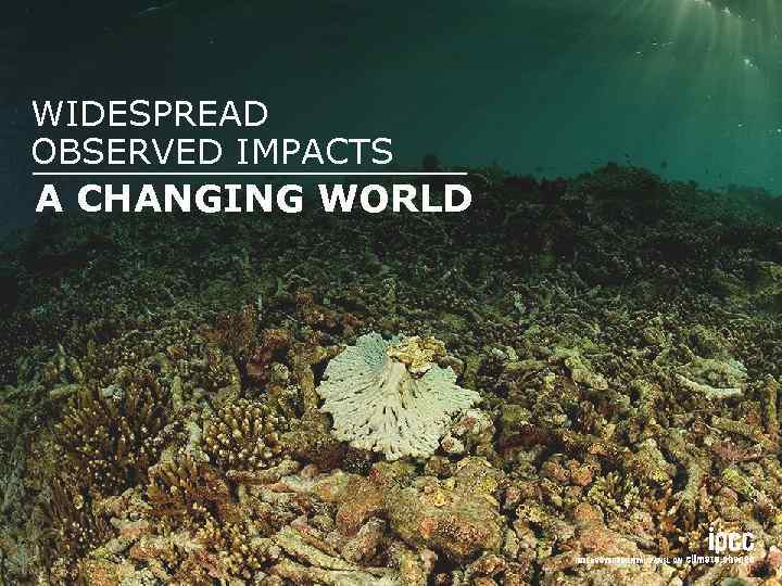 WIDESPREAD OBSERVED IMPACTS A CHANGING WORLD 