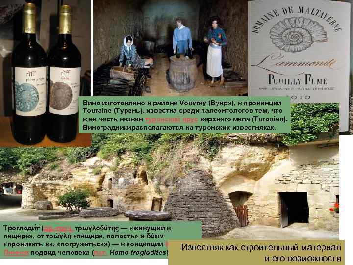 Вино изготовлено в районе Vouvray (Вуврэ), в провинции Touraine (Турень). известна среди палеонтологов тем,