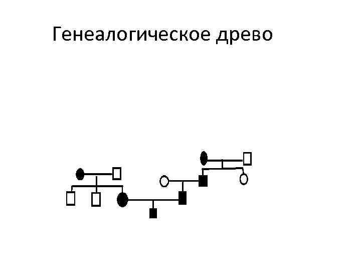 Генеалогическое древо 