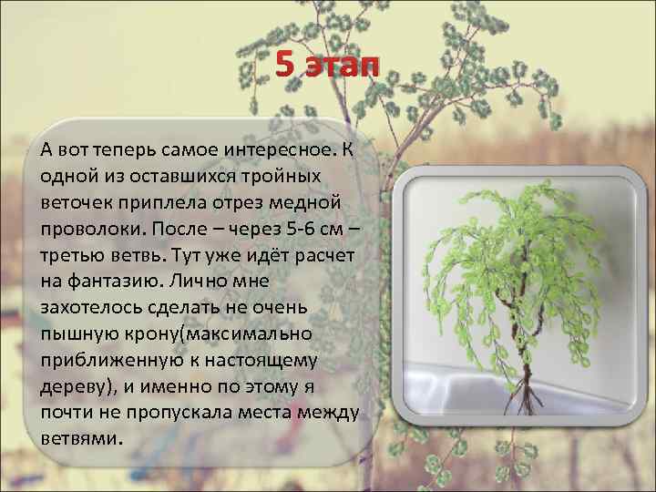 5 этап А вот теперь самое интересное. К одной из оставшихся тройных веточек приплела