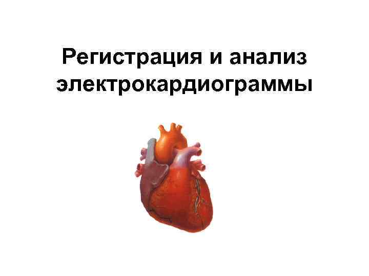 Регистрация и анализ электрокардиограммы 