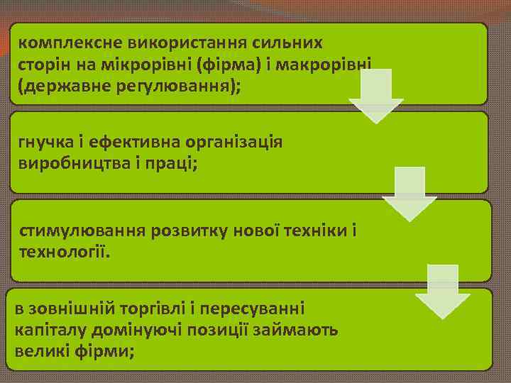 комплексне використання сильних сторін на мікрорівні (фірма) і макрорівні (державне регулювання); гнучка і ефективна