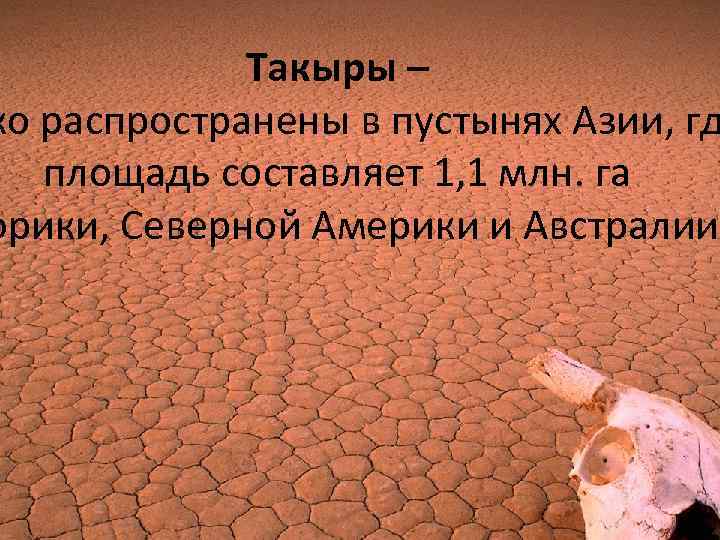Такыры – ко распространены в пустынях Азии, гд площадь составляет 1, 1 млн. га