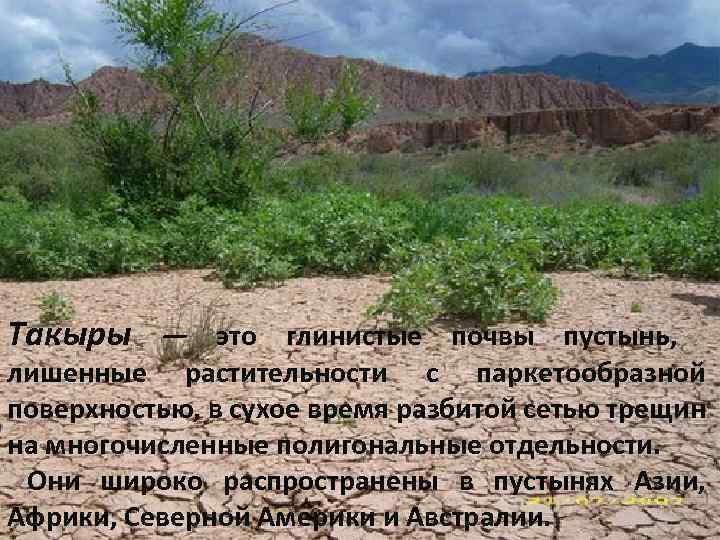 Такыры — это глинистые почвы пустынь, лишенные растительности с паркетообразной поверхностью, в сухое время