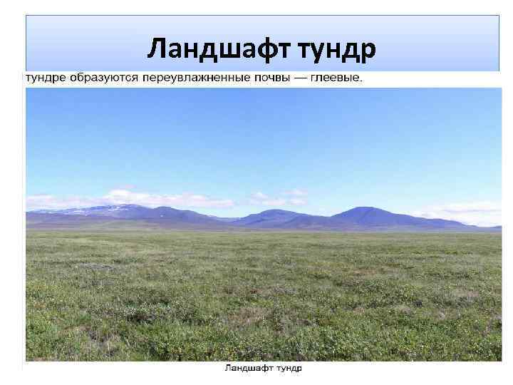 Ландшафт тундр 
