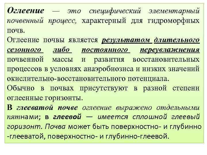 Оглеение — это специфический элементарный почвенный процесс, характерный для гидроморфных почв. Оглеение почвы является
