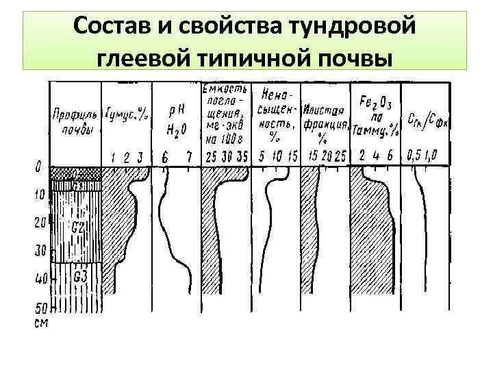 Состав и свойства тундровой глеевой типичной почвы 