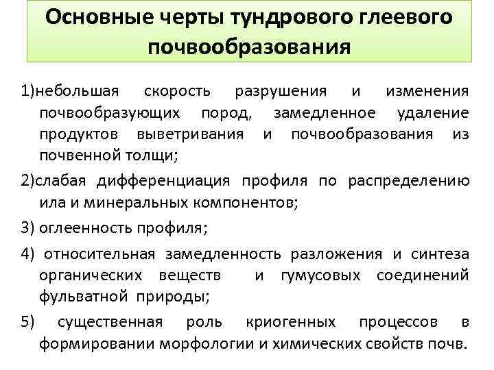 Основные черты тундрового глеевого почвообразования 1)небольшая скорость разрушения и изменения почвообразующих пород, замедленное удаление