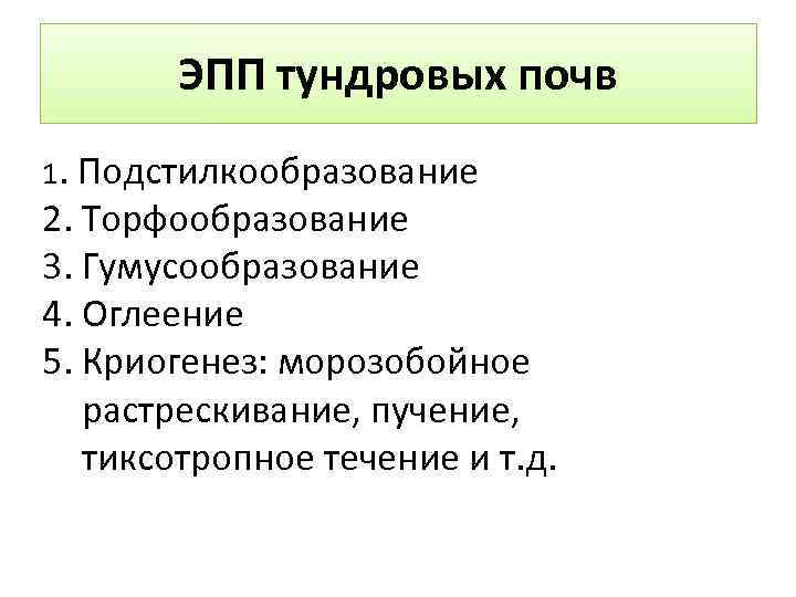 ЭПП тундровых почв 1. Подстилкообразование 2. Торфообразование 3. Гумусообразование 4. Оглеение 5. Криогенез: морозобойное