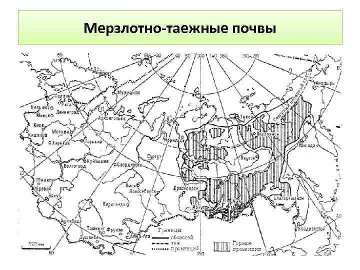 Мерзлотно-таежные почвы 