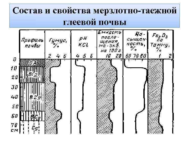 Состав и свойства мерзлотно-таежной глеевой почвы 