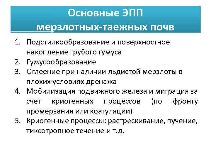 Основные ЭПП мерзлотных-таежных почв 1. Подстилкообразование и поверхностное накопление грубого гумуса 2. Гумусообразование 3.