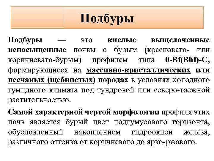 Подбуры — это кислые выщелоченные ненасыщенные почвы с бурым (красновато- или коричневато-бурым) профилем типа