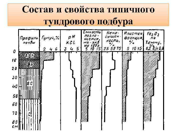Состав и свойства типичного тундрового подбура 
