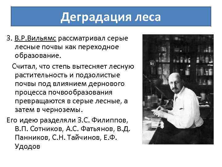 Деградация леса 3. В. Р. Вильямс рассматривал серые лесные почвы как переходное образование. Считал,