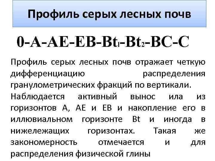 Профиль серых лесных почв 0 -A-AE-EB-Btl-Bt 2 -BC-C Профиль серых лесных почв отражает четкую