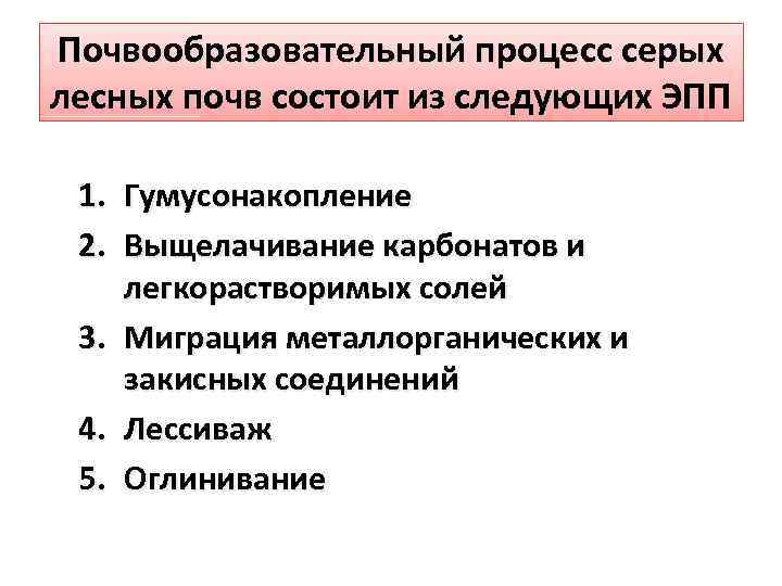 Почвообразовательный процесс серых лесных почв состоит из следующих ЭПП 1. Гумусонакопление 2. Выщелачивание карбонатов