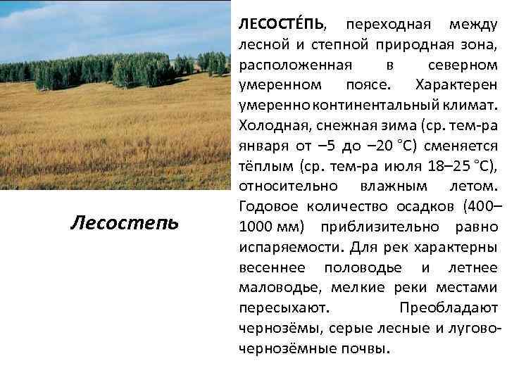 Почему лесостепи и степи относятся. Зона лесостепей России почвы и к. Климат степей и лесостепей в России. Лесостепи и степи климат почва. Условия для лесостепная зона.