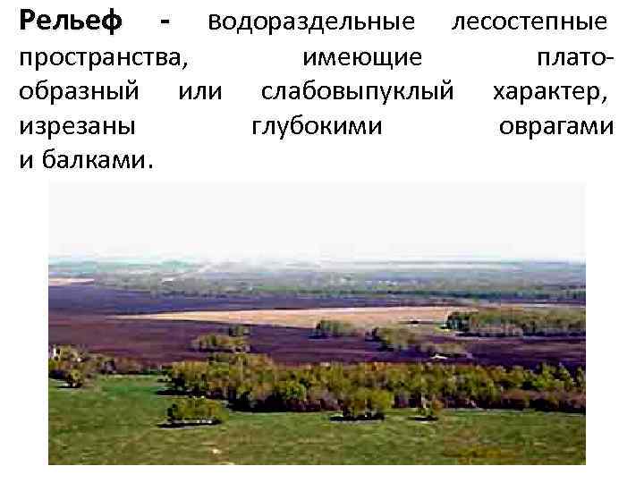 Рельеф - водораздельные лесостепные пространства, имеющие образный или слабовыпуклый изрезаны глубокими и балками. платохарактер,