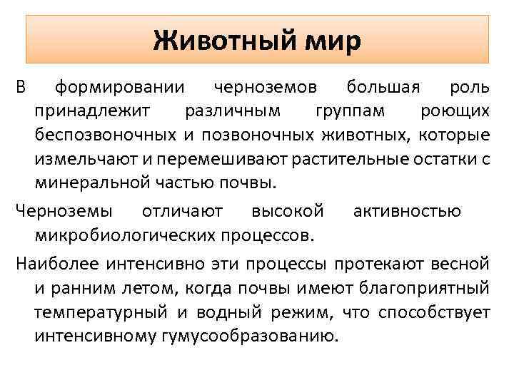 Животный мир В формировании черноземов большая роль принадлежит различным группам роющих беспозвоночных и позвоночных