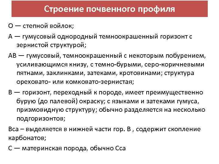 Строение почвенного профиля О — степной войлок; А — гумусовый однородный темноокрашенный горизонт с