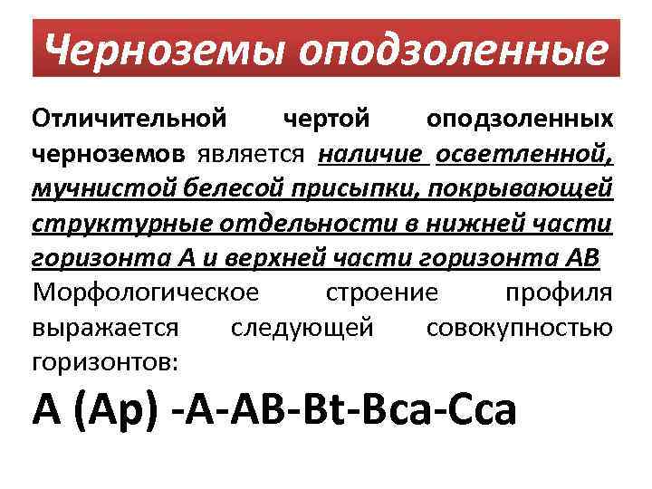 Черноземы оподзоленные Отличительной чертой оподзоленных черноземов является наличие осветленной, мучнистой белесой присыпки, покрывающей структурные