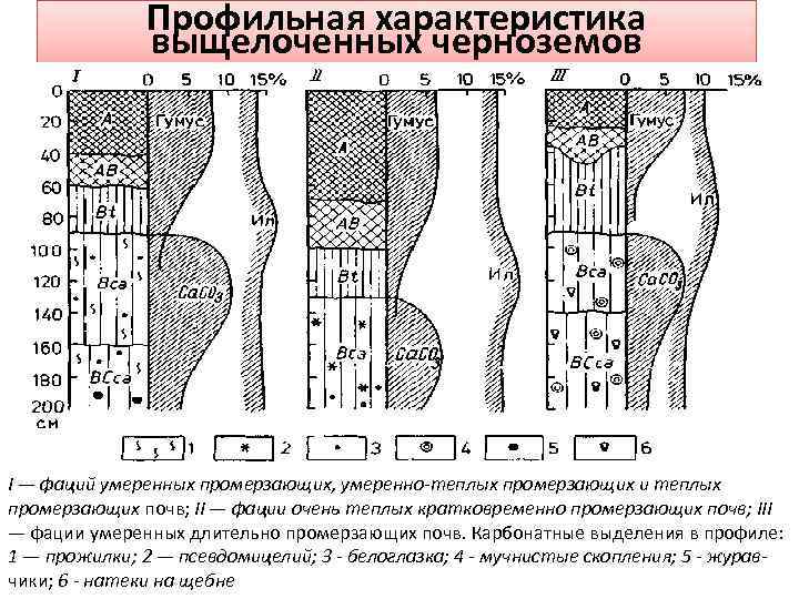 Профильная характеристика выщелоченных черноземов I — фаций умеренных промерзающих, умеренно-теплых промерзающих и теплых промерзающих