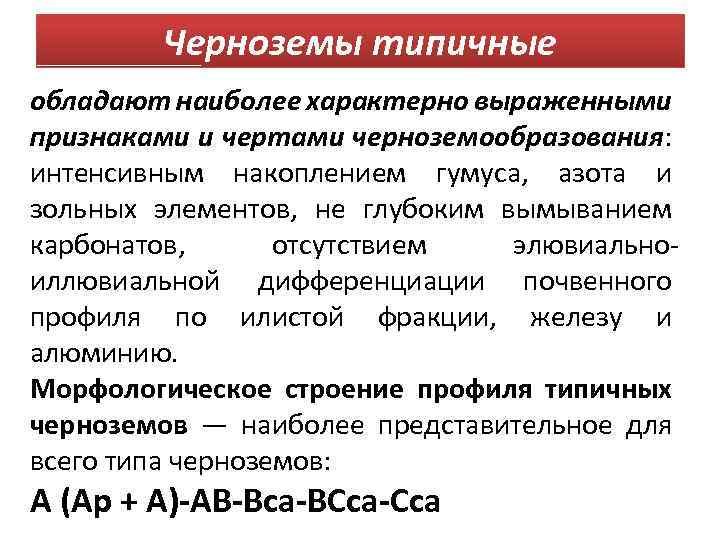 Черноземы типичные обладают наиболее характерно выраженными признаками и чертами черноземообразования: интенсивным накоплением гумуса, азота