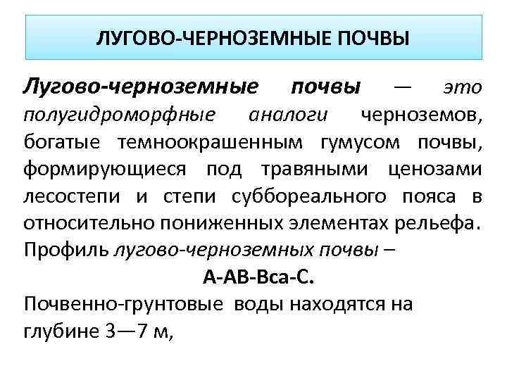 ЛУГОВО-ЧЕРНОЗЕМНЫЕ ПОЧВЫ Лугово-черноземные почвы — это полугидроморфные аналоги черноземов, богатые темноокрашенным гумусом почвы, формирующиеся