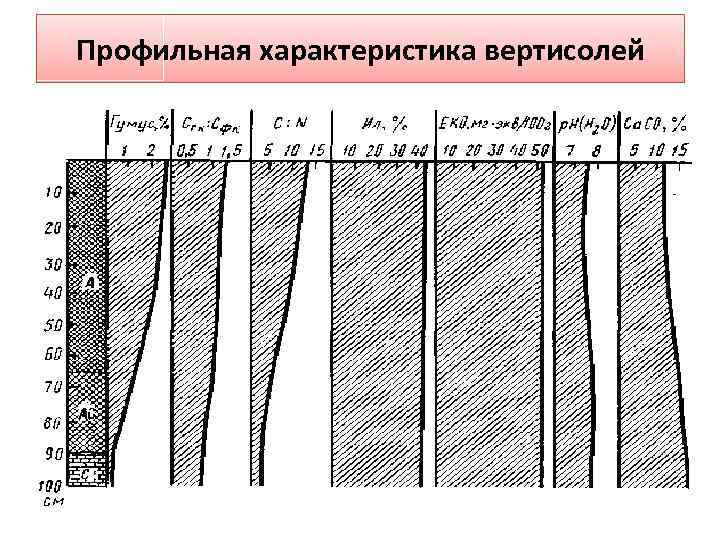 Профильная характеристика вертисолей 