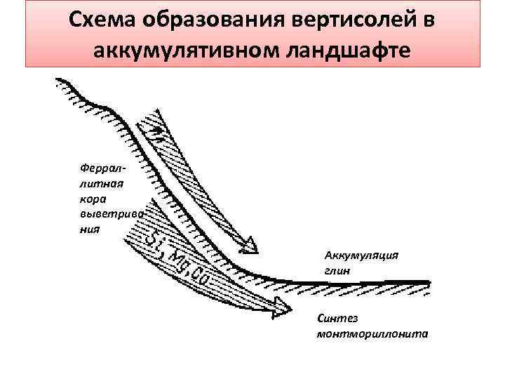 Схема образования вертисолей в аккумулятивном ландшафте Ферраллитная кора выветривания Аккумуляция глин Синтез монтмориллонита 