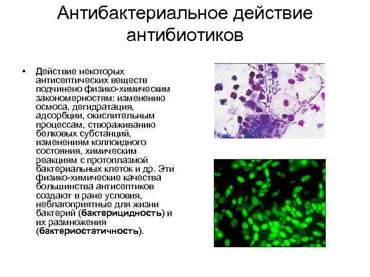 Антибактериальное действие антибиотиков • Действие некоторых антисептических веществ подчинено физико химическим закономерностям: изменению осмоса,