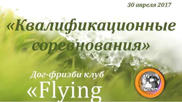 30 апреля 2017 «Квалификационные соревнования» Дог-фризби клуб «Flying 