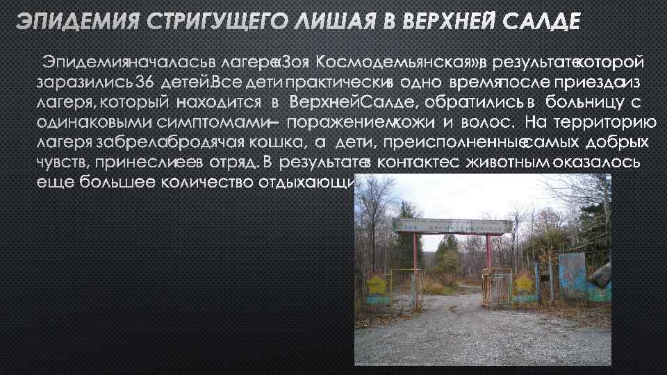ЭПИДЕМИЯ НАЧАЛАСЬ В ЛАГЕРЕ «ЗОЯ КОСМОДЕМЬЯНСКАЯ» , В РЕЗУЛЬТАТЕ КОТОРОЙ ЗАРАЗИЛИСЬ 36 ДЕТЕЙ. ВСЕ