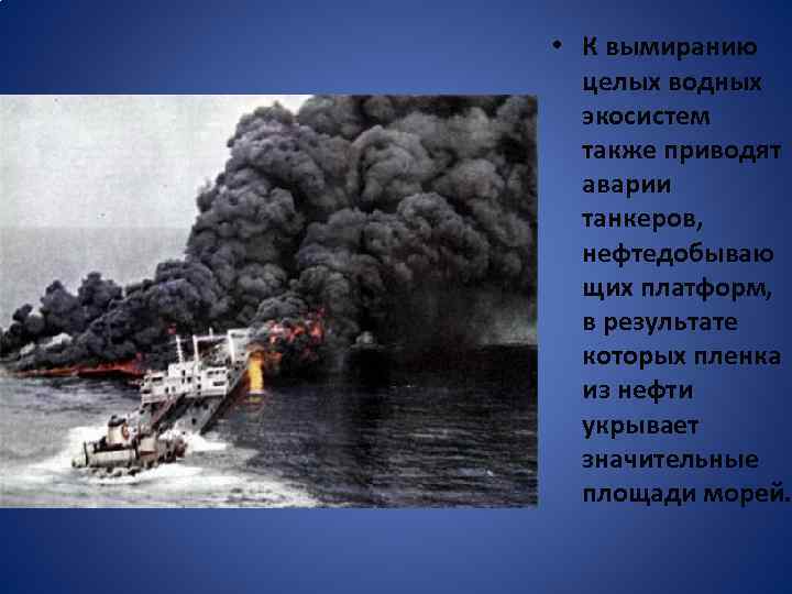  • К вымиранию целых водных экосистем также приводят аварии танкеров, нефтедобываю щих платформ,