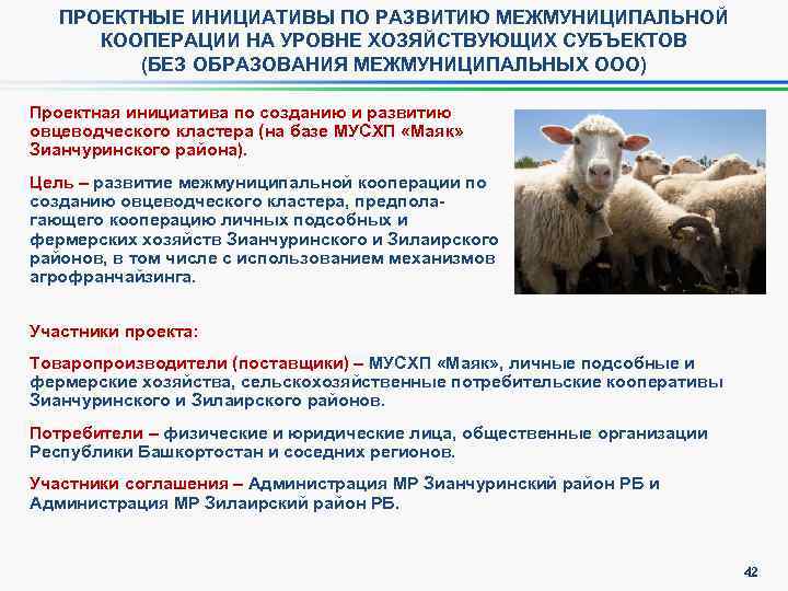 ПРОЕКТНЫЕ ИНИЦИАТИВЫ ПО РАЗВИТИЮ МЕЖМУНИЦИПАЛЬНОЙ КООПЕРАЦИИ НА УРОВНЕ ХОЗЯЙСТВУЮЩИХ СУБЪЕКТОВ (БЕЗ ОБРАЗОВАНИЯ МЕЖМУНИЦИПАЛЬНЫХ ООО)