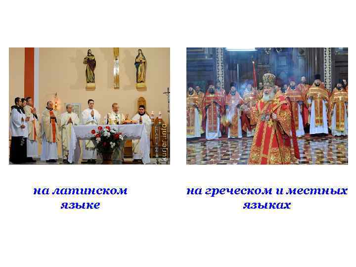 на латинском языке на греческом и местных языках 