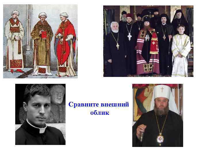 Сравните внешний облик 