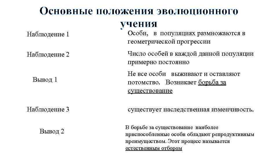 Основные положения эволюционного учения Наблюдение 1 Особи, в популяциях размножаются в геометрической прогрессии Наблюдение