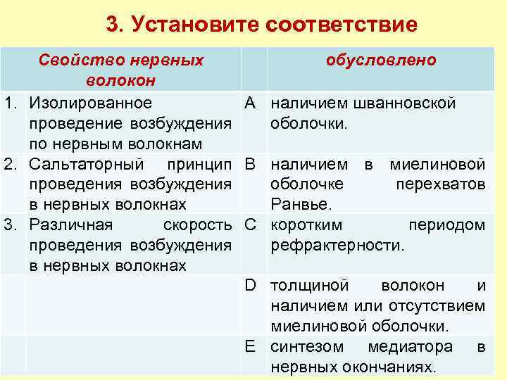 3. Установите соответствие Свойство нервных обусловлено волокон 1. Изолированное А наличием шванновской проведение возбуждения