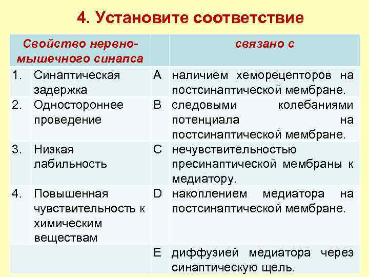 4. Установите соответствие Свойство нервносвязано с мышечного синапса 1. Синаптическая А наличием хеморецепторов на