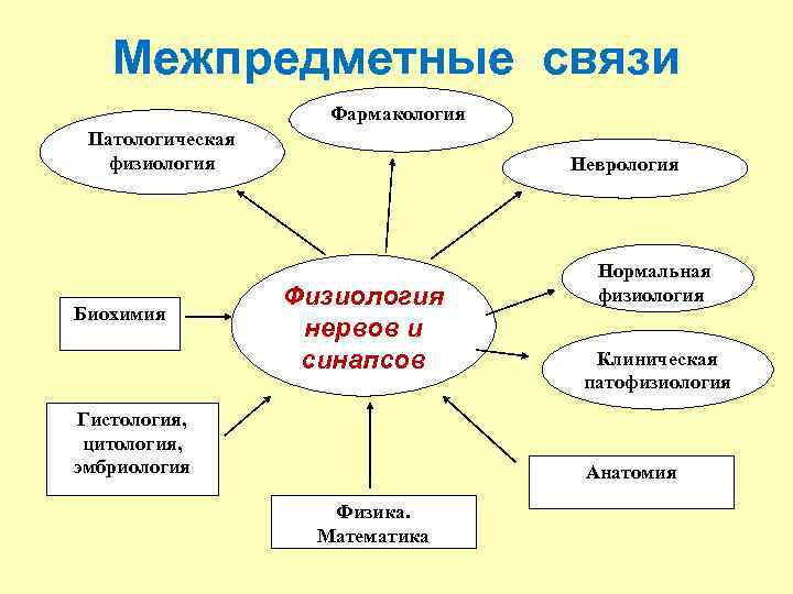 Межпредметные связи Фармакология Патологическая физиология Биохимия Неврология Физиология нервов и синапсов Гистология, цитология, эмбриология