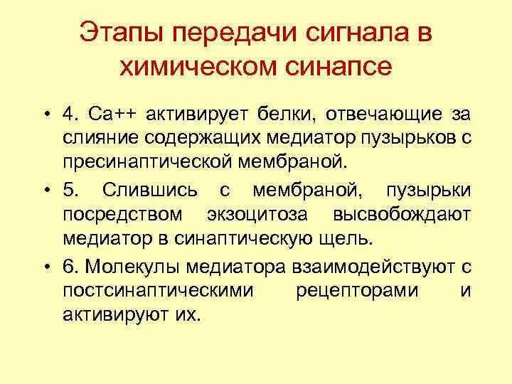 Этапы передачи сигнала в химическом синапсе • 4. Са++ активирует белки, отвечающие за слияние