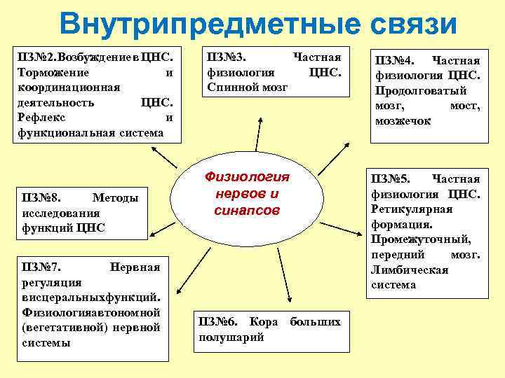 Внутрипредметные связи ПЗ№ 2. Возбуждение в ЦНС. Торможение и координационная деятельность ЦНС. Рефлекс и